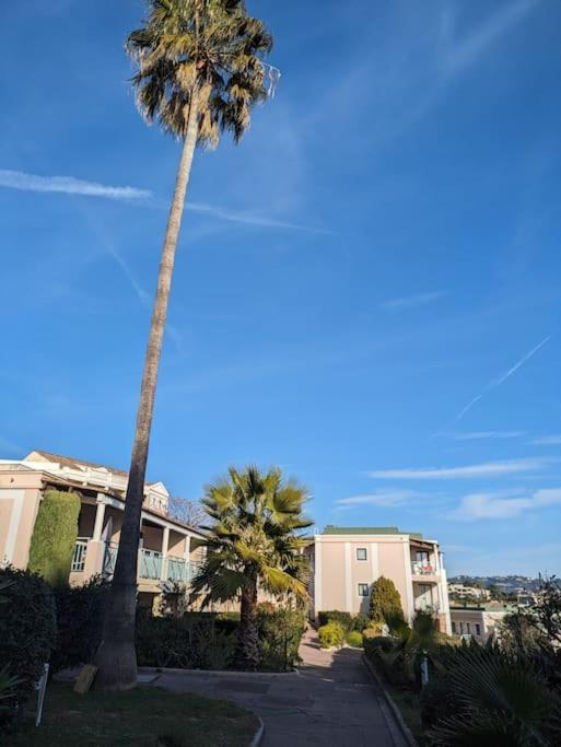 Superbe Appartement Cannes Avec Piscine 1 Chambre 외부 사진